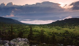 Южно уральский заповедник презентация