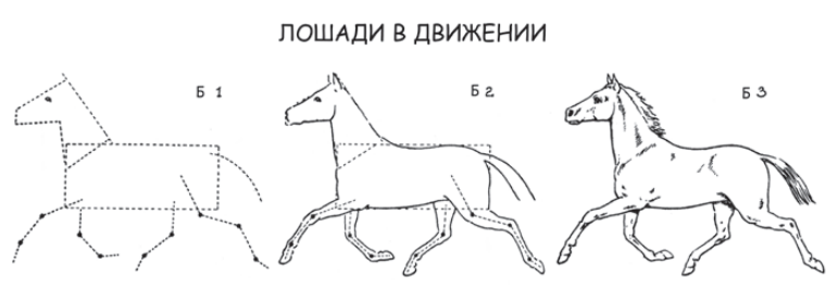 Лошадь в движении рисунок