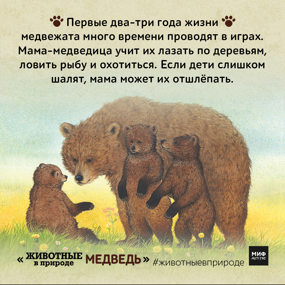 Почему у медведя нет мамы. Медведь для детей. Медведь рассказ для детей. Медведь и его малыши. Животные для детей Медвежонок.