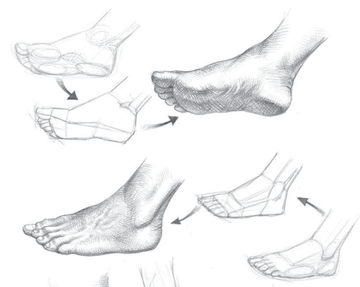 Как рисовать стопы ног