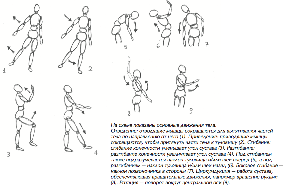 Названия движений человека. Схема фигуры человека в движении. Схема движения суставов. Оси движения в суставах. Человек в движении.