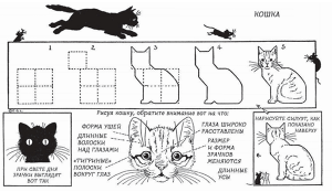 Узнай по рисунку массу одного котенка