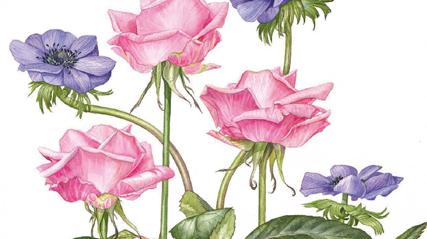 Как нарисовать цветок за 5 минут: 3 разные техники - Блог издательства«Манн, Иванов и Фербер»