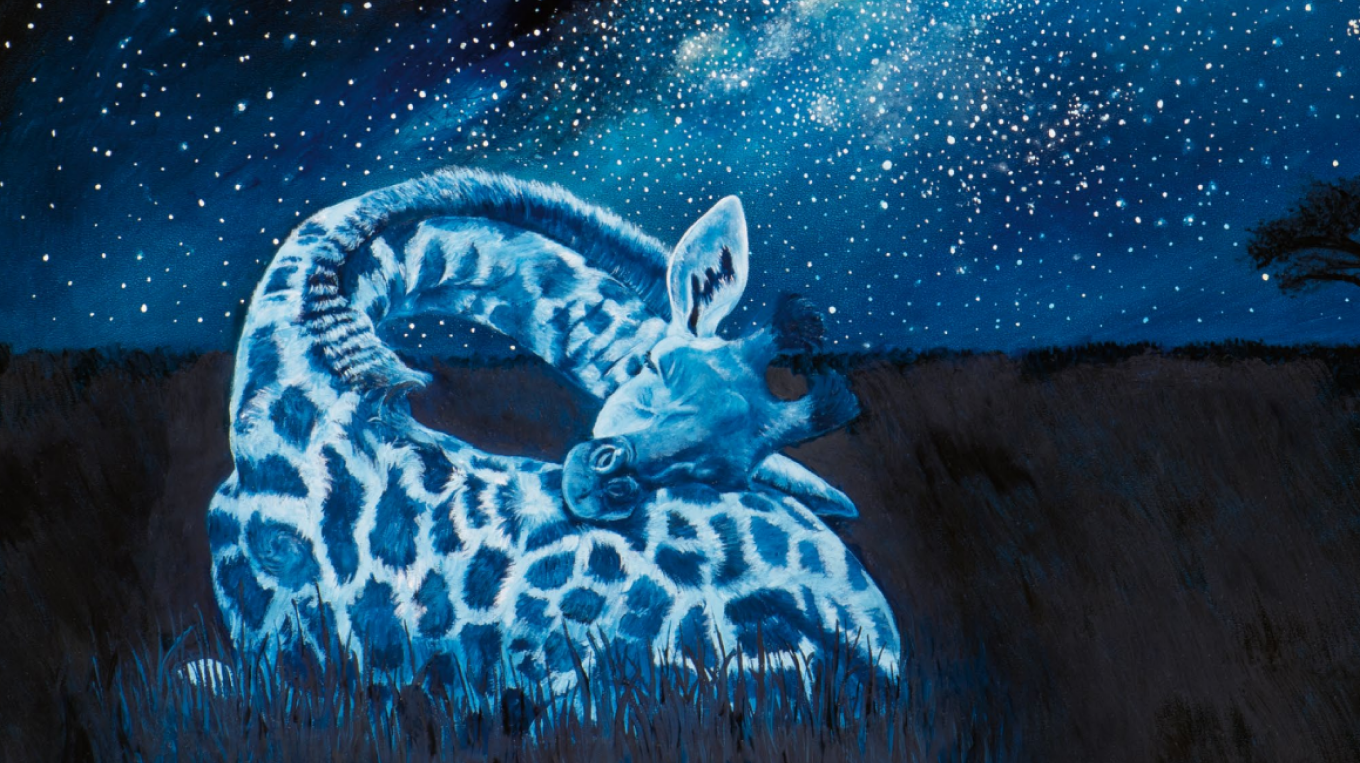 Как спят жираф, осьминог и кит: интересные факты и потрясающие иллюстрации  - Папамамам — МИФ