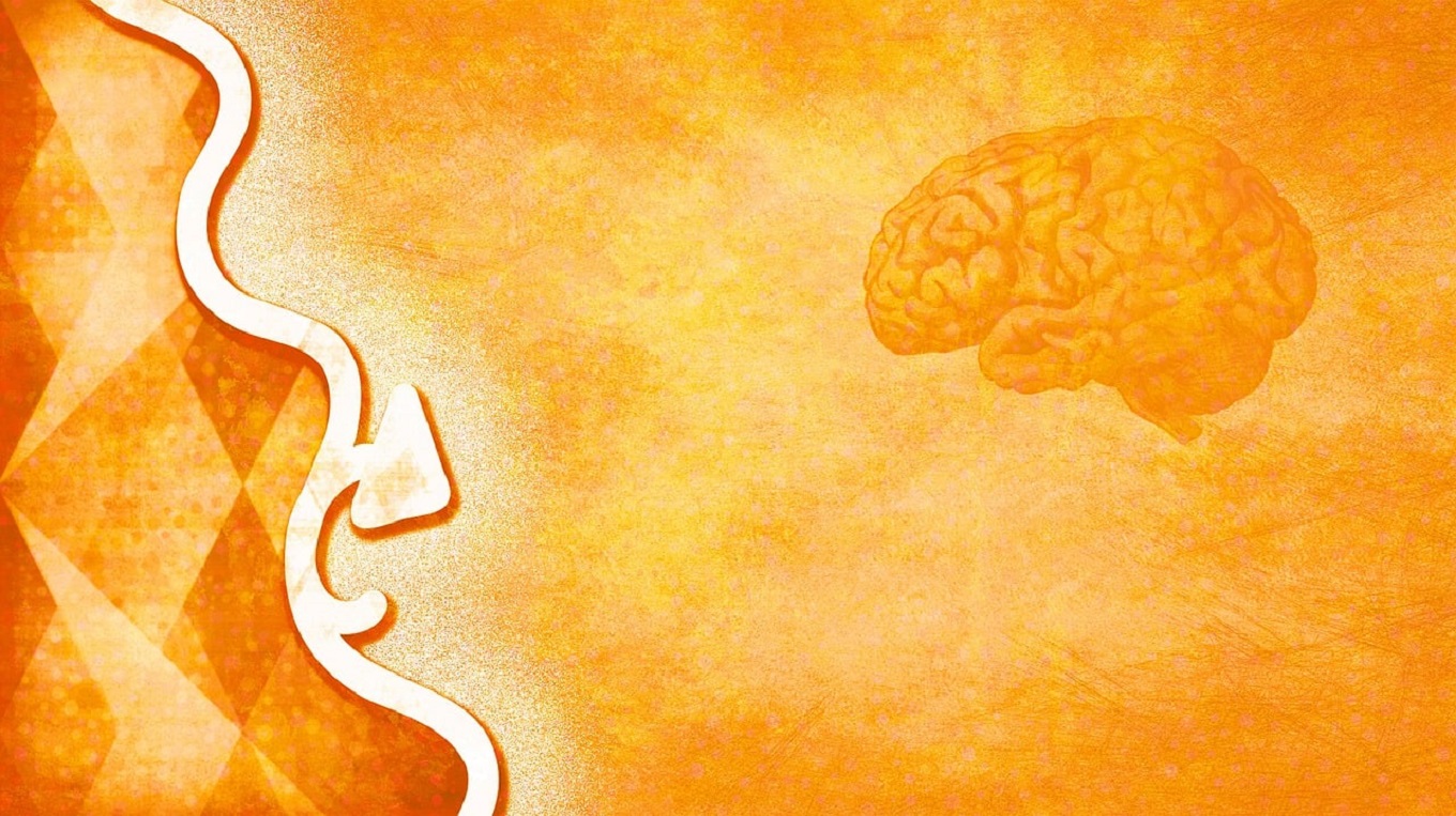 Самая большая загадка — я. Приглашаем в кабинет психотерапевта